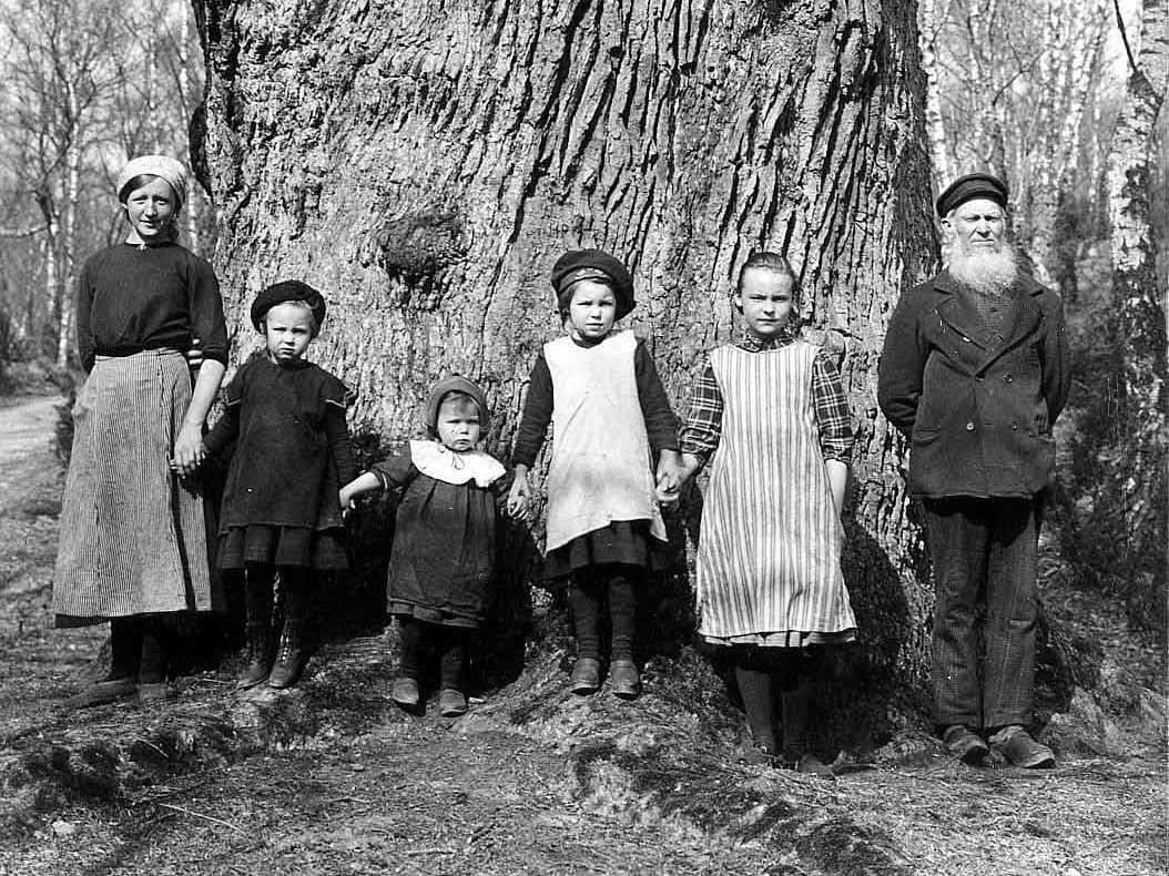 Familj uppradad för fotografi framför Kungseken i Herrevad. Bild tagen 1921 av Waldemar Bülow.