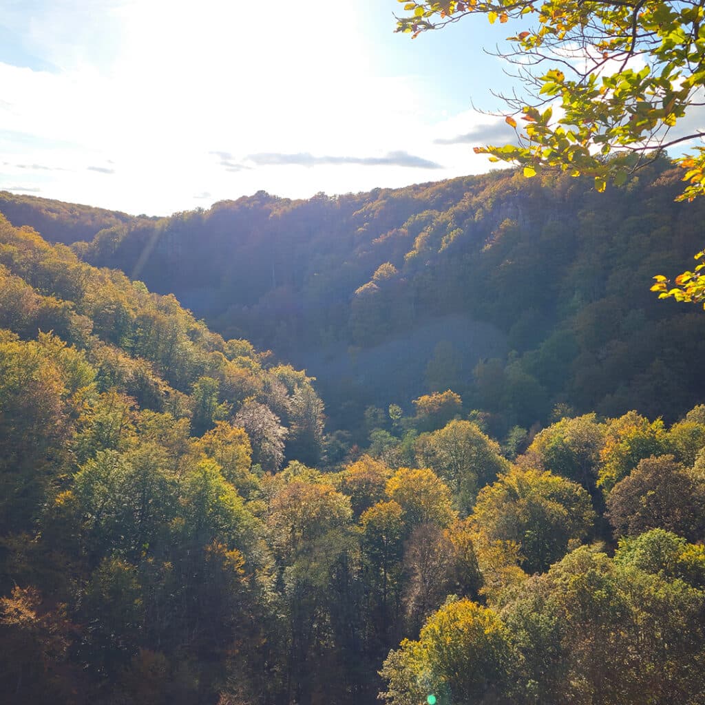 Söderåsens Nationalpark