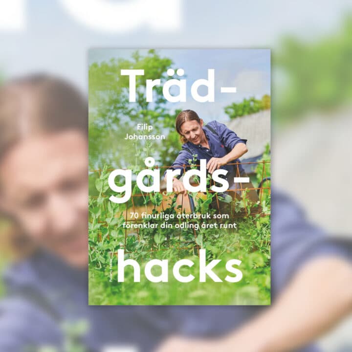 Fotograf: Peter Carlson