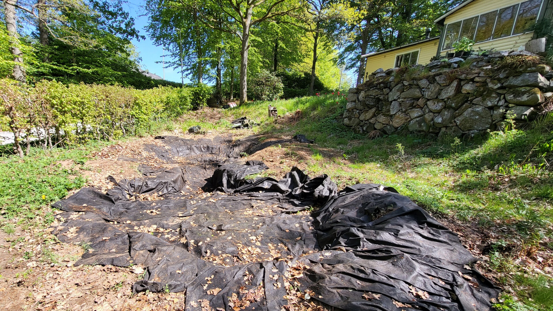 Dammens skyddande underlag