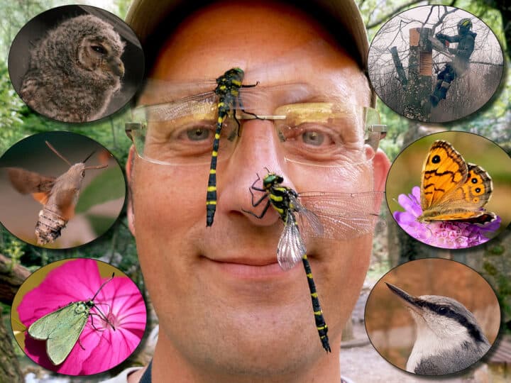 Trädgårdsinspiration för att gynna biologisk mångfald