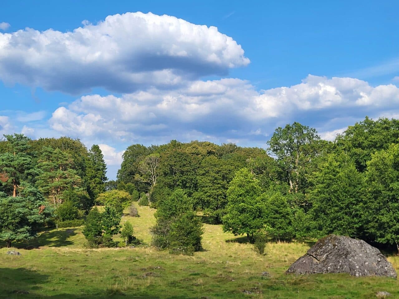 Örnabjärs naturreservat