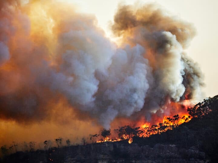Out of control fire on Narrow Neck Plateau, Katoomba, Blue Mountains, Australia. Climate change is ...