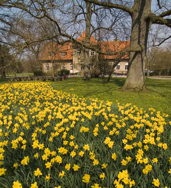 Alnarp - Skåne