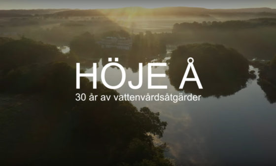 Höje å